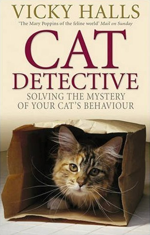 Detective Cat